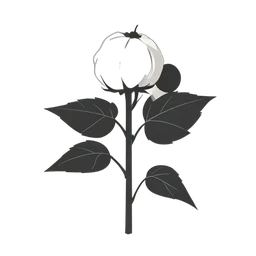 Plante de coton icon preview