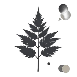 Fern