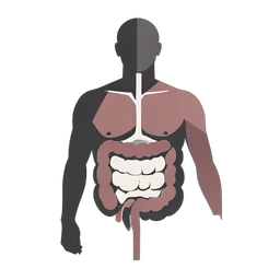 Кишечник icon preview