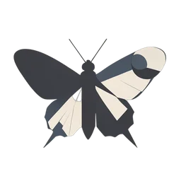 蛾