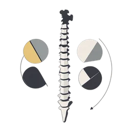 عمود الفقري icon preview