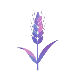 Barley