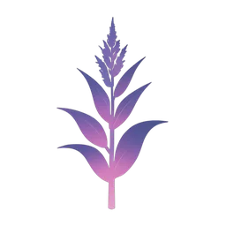 รวงข้าวโพด