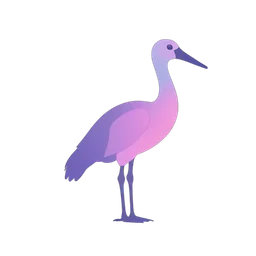 Ibis
