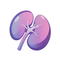 Kidney