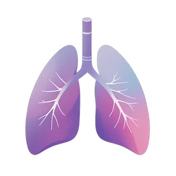 肺部内部