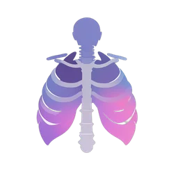 القفص الصدري