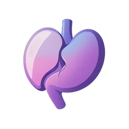 กระเพาะอาหาร