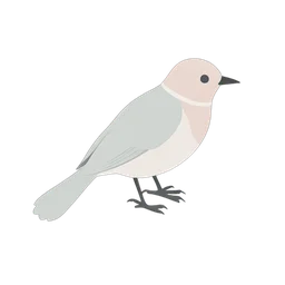 Pájaro icon preview