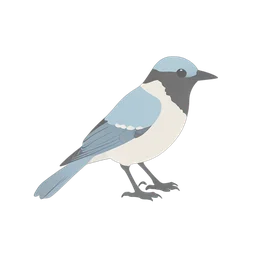 นกสีน้ำเงิน