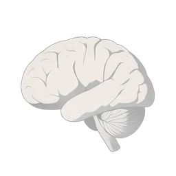 Brain Internal icon preview