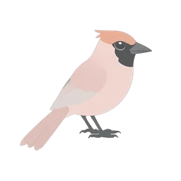 Cardinal icon preview