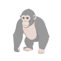 Chimpanzee