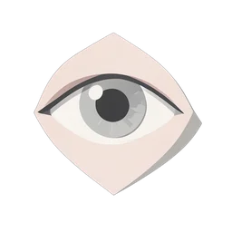 Eye