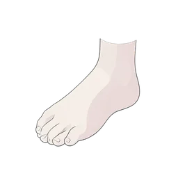Foot