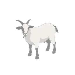 Farm Goat