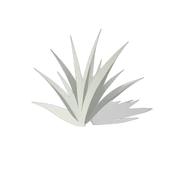 Gras