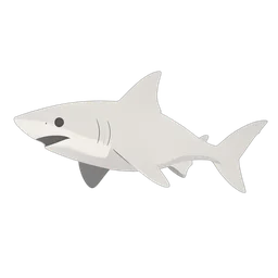 Great White Shark