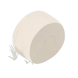 Odun