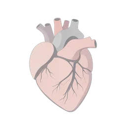 İç Kalp icon preview