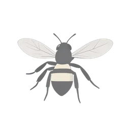 Ornitottero icon preview