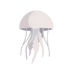 Jellyfish
