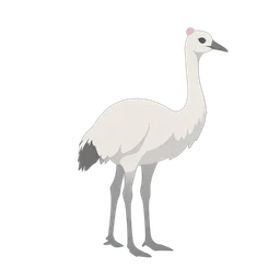 Avestruz