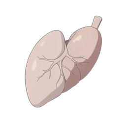 Pâncreas icon preview