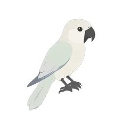 นกแก้ว icon preview