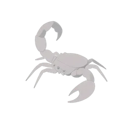 scorpione