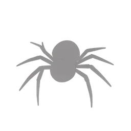 aranha
