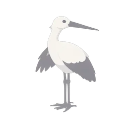 Stork