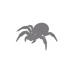 tarantula