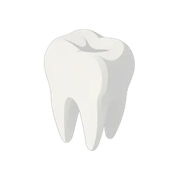 سن