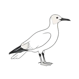 Albatros icon preview