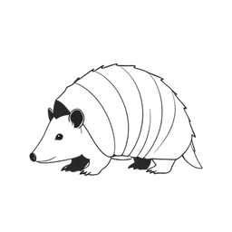 armadillo