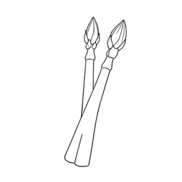 Asparagus icon preview