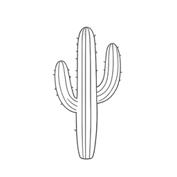 Cactus icon preview