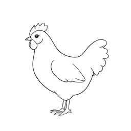 Chicken icon preview