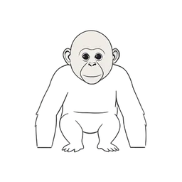Chimpanzee