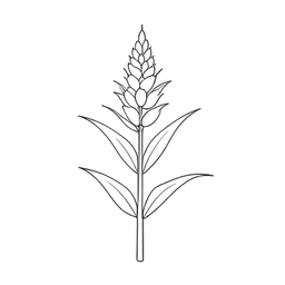 Strąk kukurydzy icon preview