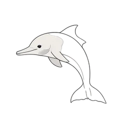 Dolphin icon preview