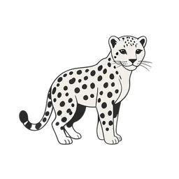 Leopardo
