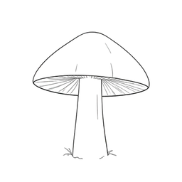 Mushroom icon preview