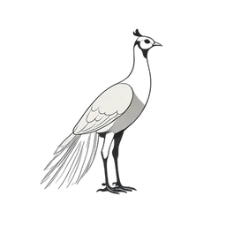 Pheasant icon preview