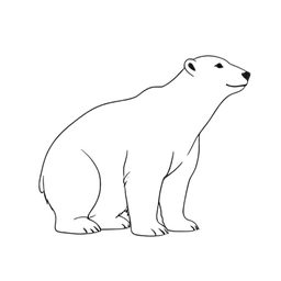 Polarbär
