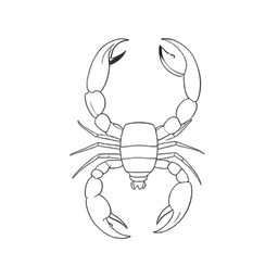 scorpione