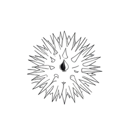 Sea Urchin