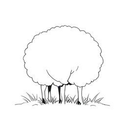 Cừu
