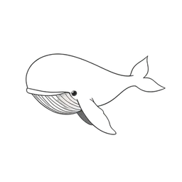 スパーマセティクジラ